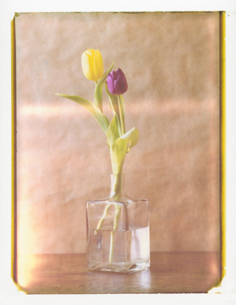 2020-03-22-Polaflowers-04_1.jpg
